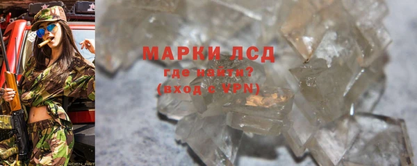 шишки Инта