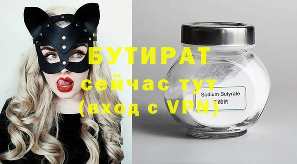 шишки Инта