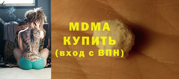 шишки Инта