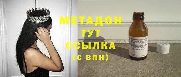 шишки Инта