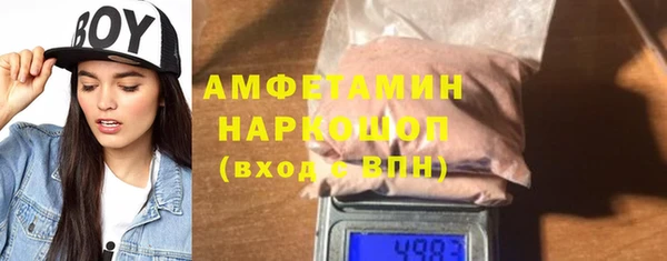 шишки Инта