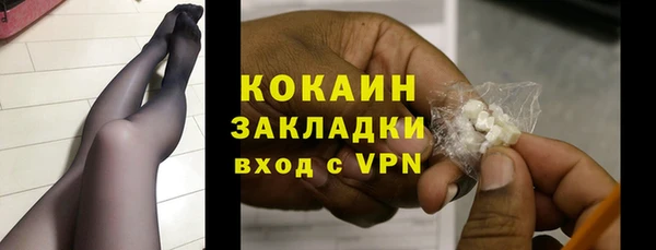 гидра Каменка