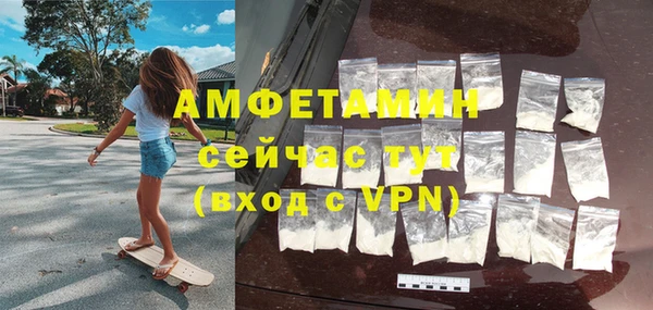 шишки Инта