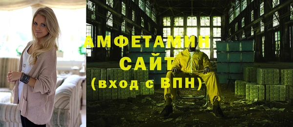шишки Инта