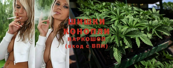 шишки Инта
