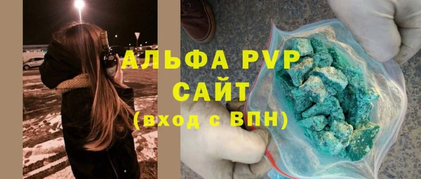 гидра Каменка