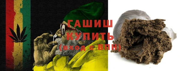шишки Инта