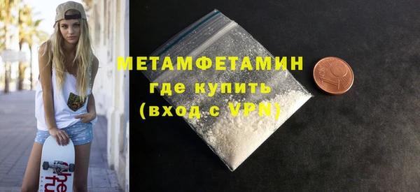 шишки Инта