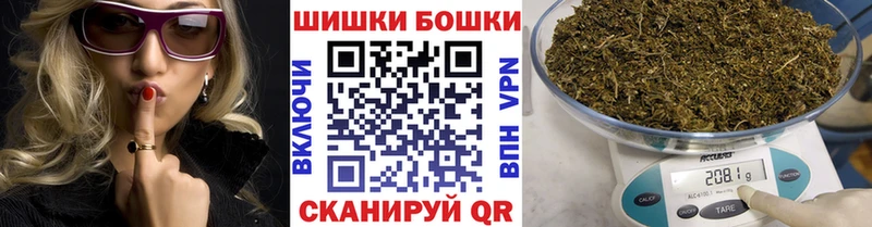Конопля SATIVA & INDICA  Купить где  Бор 